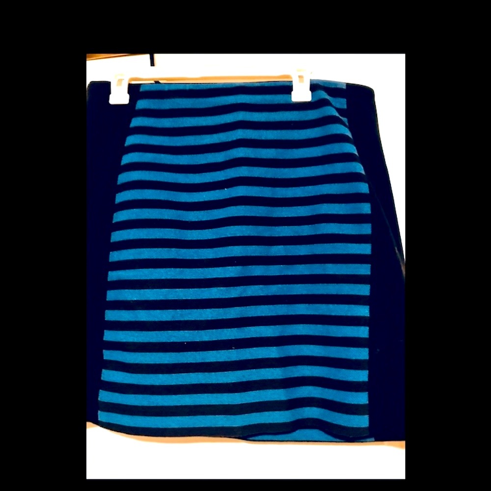 Ann Taylor skirt